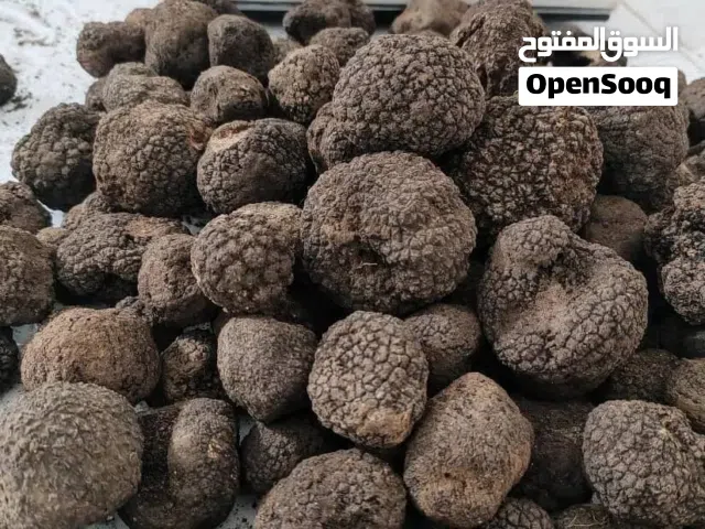 کماه اسود ممتاز