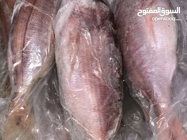 بيع أسماك مجمدة أعالي بحار جودة عالية توصيل عند الاستلام (اكادير انزاكان ايت ملول)