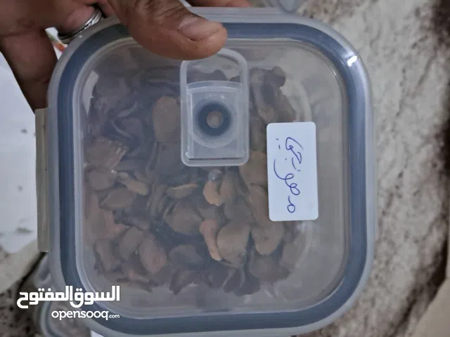 بذور اشجار زينة واشجار زيتية واعشاب عطرية