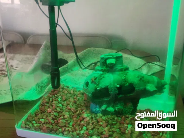 حوض سمك مع الوان ومضخة