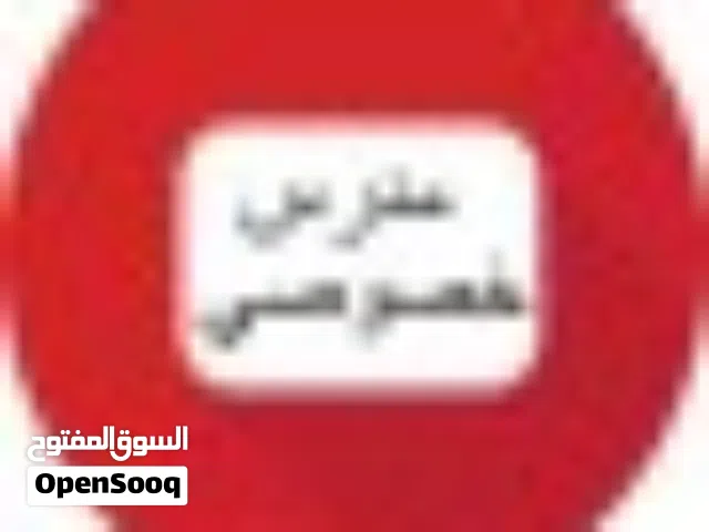 معلم خصوصي