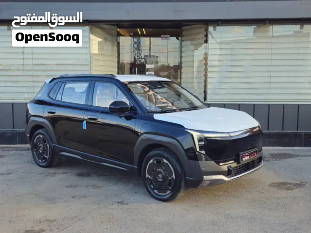 2026 دونج فينج فيجو
