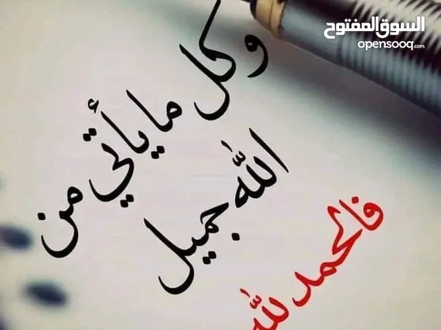 جمال عثمان شحاته علام