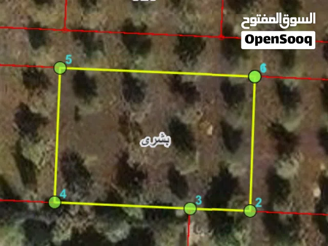 Residential Land for Sale in Irbid Bushra