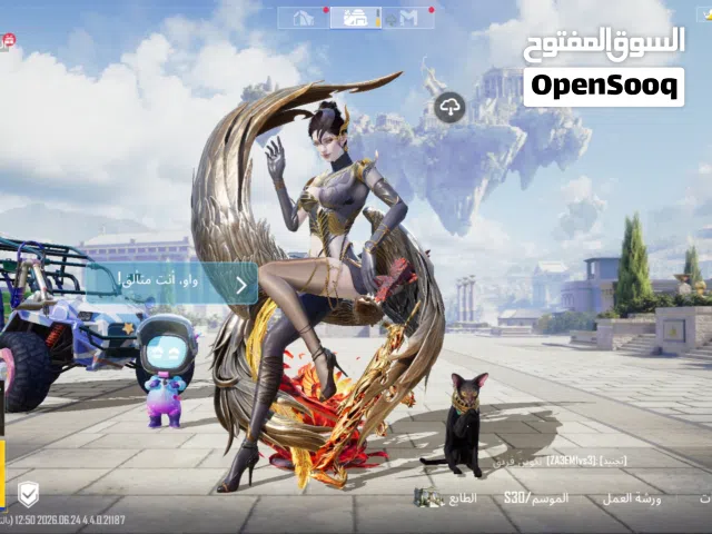 Pubg Accounts and Characters for Sale in Amman