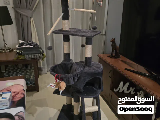 Cat house excellent condition never used