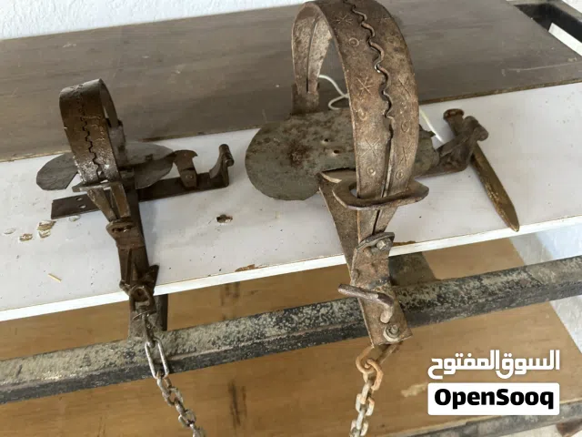 فخ قديم مع جنزير ووتد تثبيت