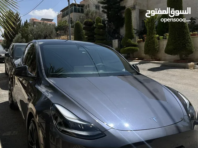 Tesla Model Y Performance