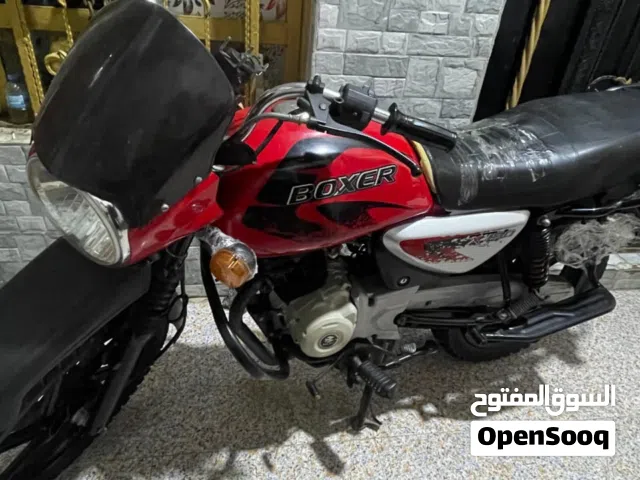 دراجه بوكسر جبلي سنويه ورقم وبادي بيه موديل 2023