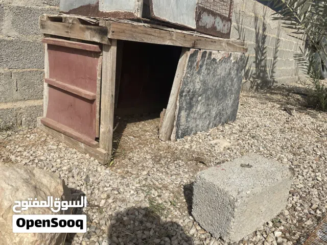 بيت لجميع الحيوانات