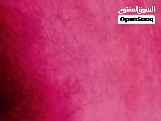 #طقم #كنب #7مقاعد #مميز #مريح #مستعمل بحال الوكالة  #7مقاعد واسعه ومريحة   خشب سويد كام