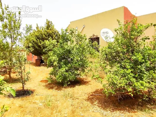  Farms for Sale in Tripoli Wadi Al-Rabi
