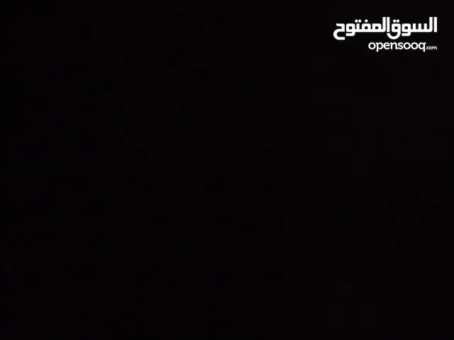 فداء علي المواجده