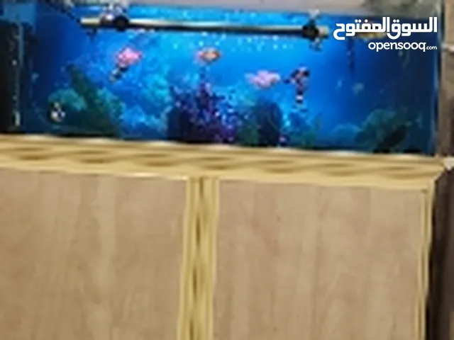 حوض سمك مع الاسماك