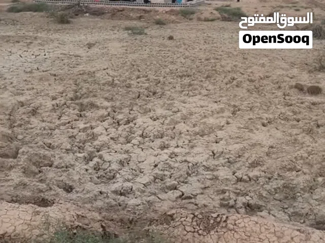 Residential Land for Sale in Basra Shatt Al-Arab