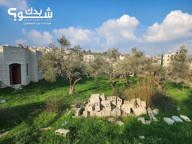 ارض للبيع في منطقه دورا القرع رام الله قرب جفتا المساحه 16 دونم
