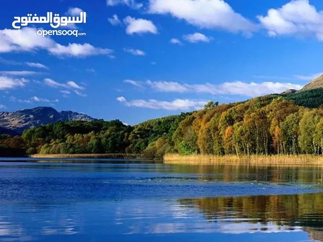 فادي يوسف عبد المعطي حميدات
