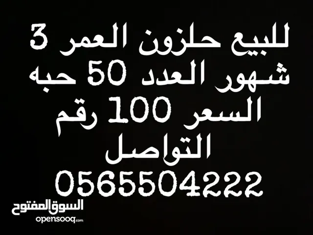 حلزون للبيع