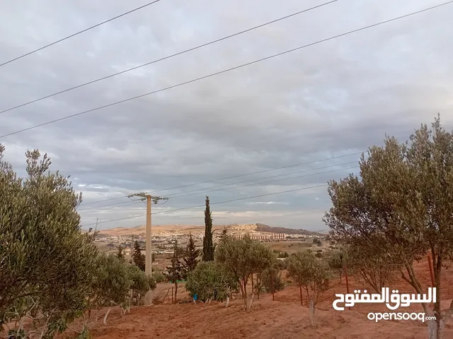 Mixed Use Land for Sale in Mostaganem Other