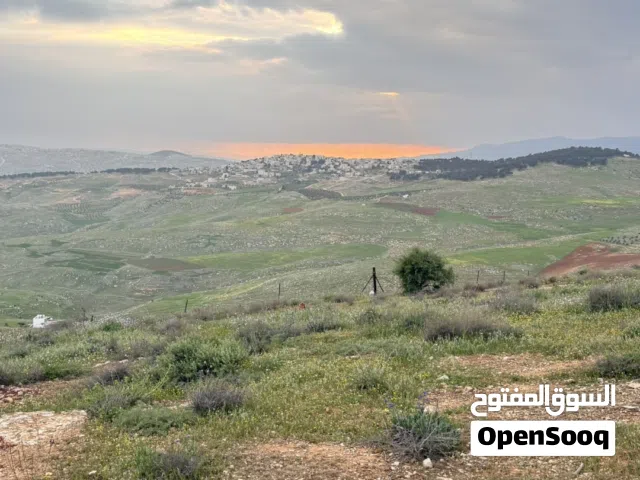 Farm Land for Sale in Jerash Unaybah