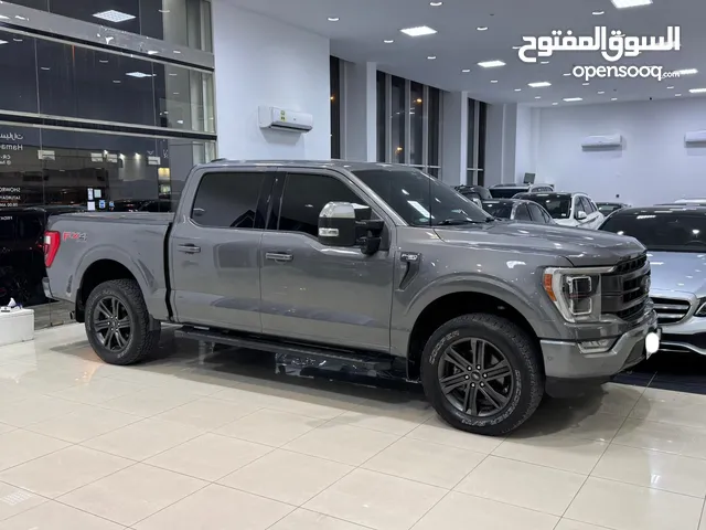 Ford F-150 / 2022 (Grey)