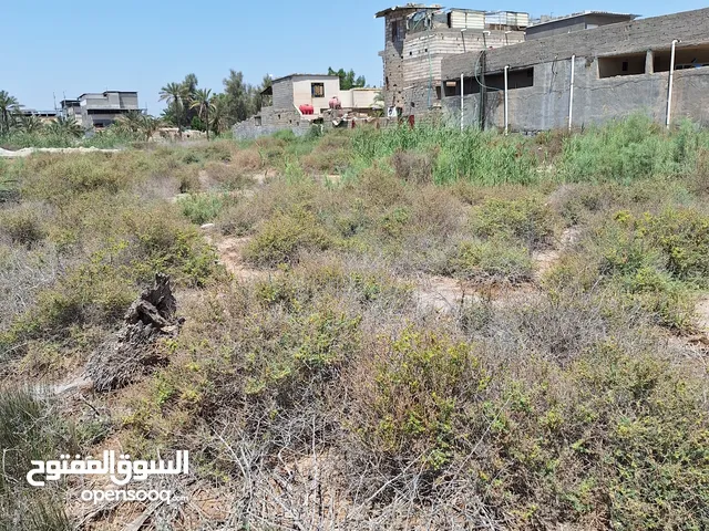 Mixed Use Land for Sale in Basra Abu Al-Khaseeb