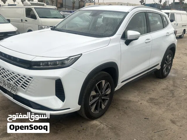 2025 شيري اكسيد LX