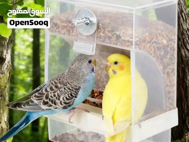 مستلزمات طيور