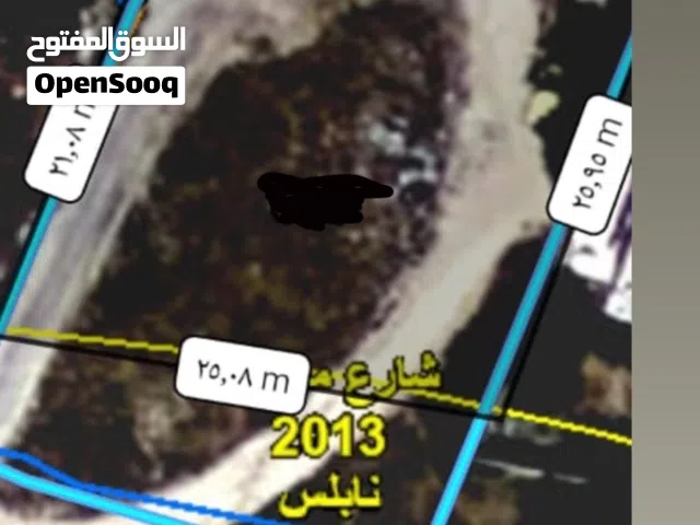 Mixed Use Land for Sale in Nablus Beit Wazan