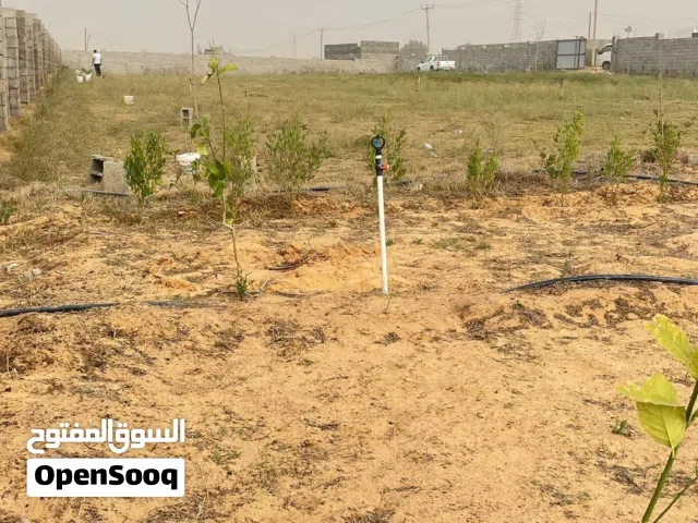 ارض للبيع بالقره بوللي طريق المصيف فم الوادي 4700 م تقريبا وللبيع حسب طلب زبون حتى 1000م