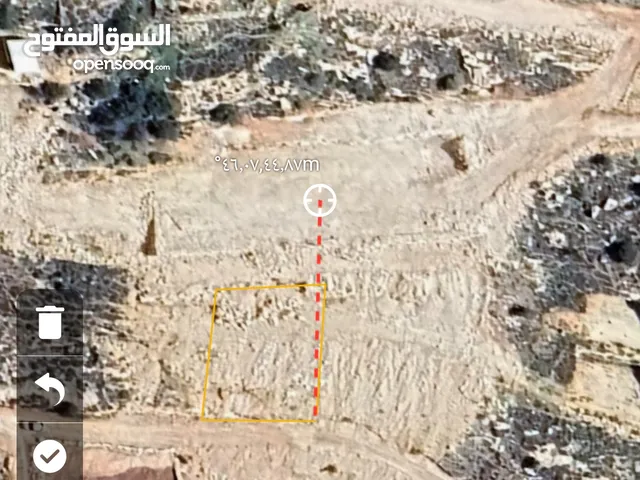 نص دونم لقطة ب 100 الف شيقل تقسيط