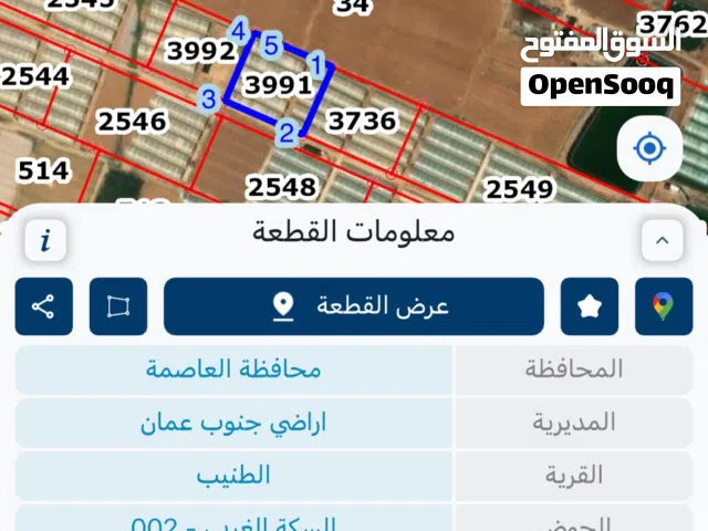 ارض من المالك مباشرة ثاني نمرة عن شارع ال 100 منطقة الطنيب السكة الغربي ملاصقة للمشاريع الاستثمارية