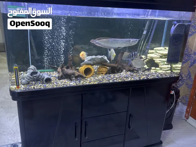 للبيع كامل حوض كامل مع جميع الملحقات مع سمك احجام ضخمه