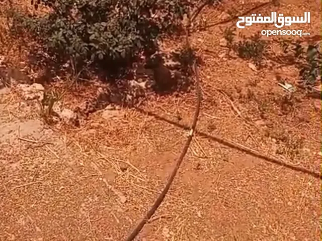Residential Land for Sale in Ramallah and Al-Bireh Bil'in