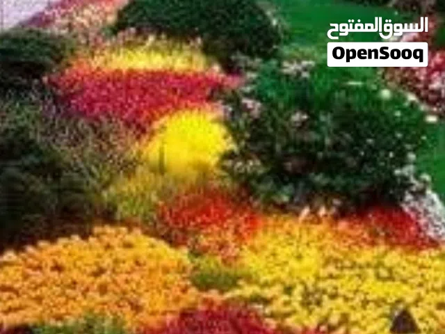 150 m2 4 Bedrooms Villa for Rent in Tripoli Ain Zara