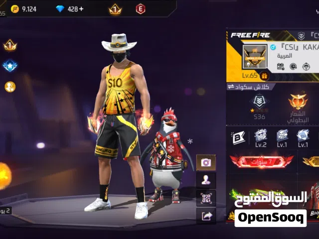 Free Fire Accounts and Characters for Sale in Salt