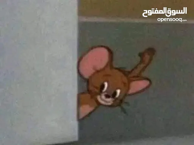 سكفالي وجزيره متع محل غدائيه نظاف