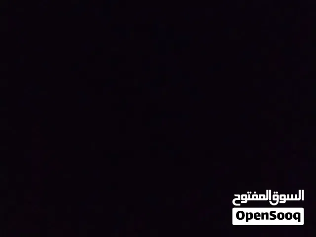 قنفذ بسعر حرق