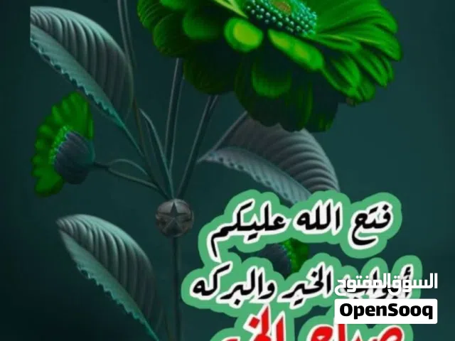 منزل للايجار بناء جديد به عدد اربعه غرفه ومطبخ وحمام وصاله