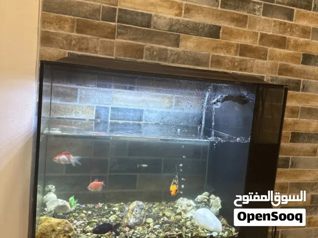 حوض سمك كبير قزاز