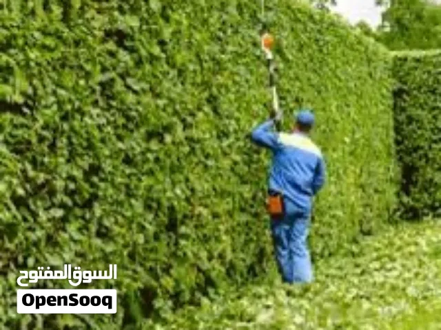 قص وتربيع الاشجار