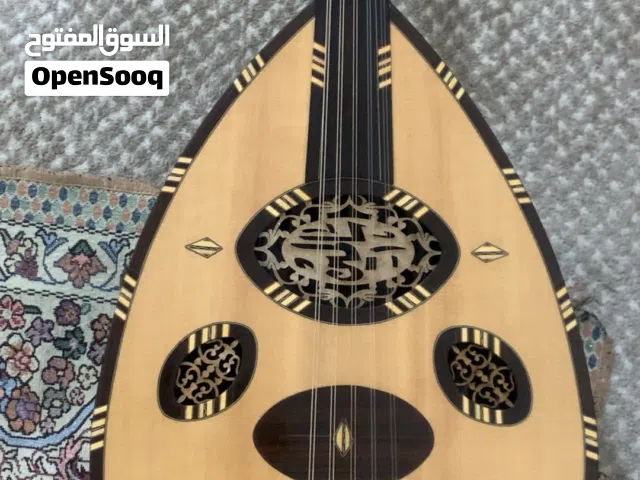 عود سالمين جديد