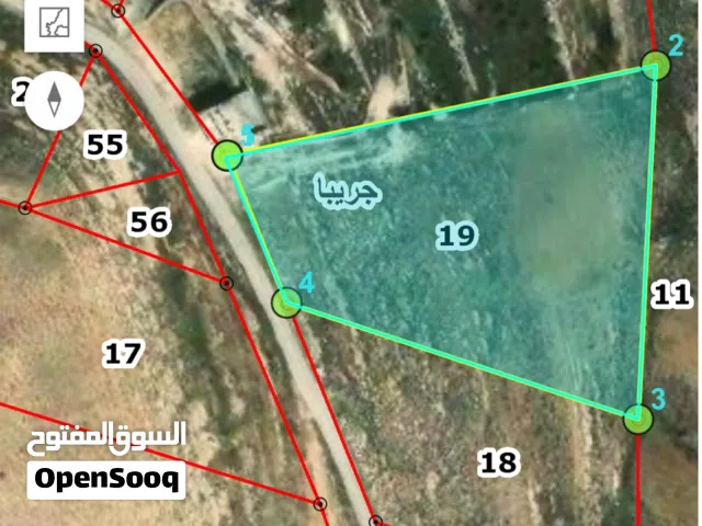 قطعتان ارض بمساحة 5656 متر مربع جريبا