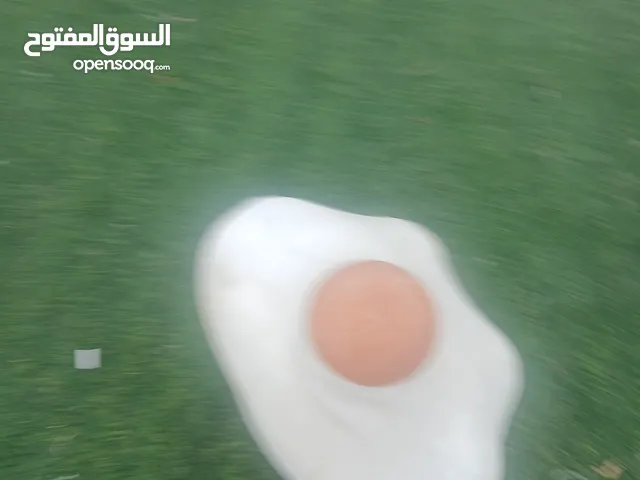 ,للبيع توبيكان محلات