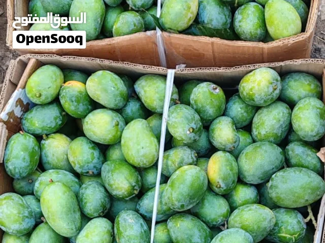 يتوفر معنا لمبا أخضر حامض (حدال) كيلو