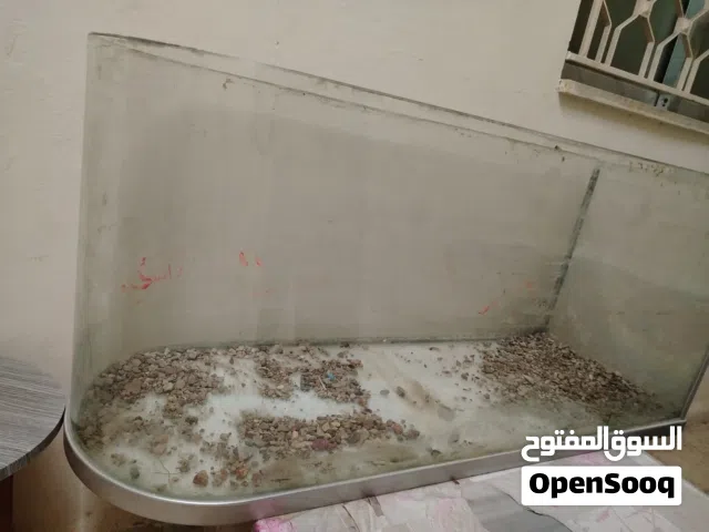 حوض سمك نظيف وجاهز للبيع - كأنّه جديد! فرصة ممتازة لاقتناء حوض سمك كبير بحالة ممتازة،