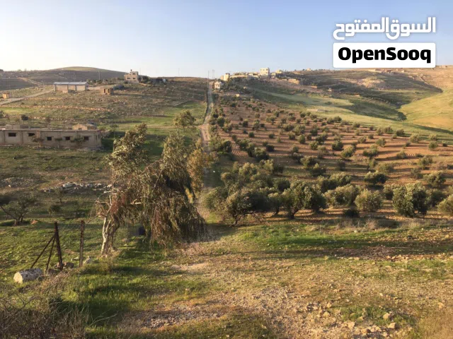 Farm Land for Sale in Zarqa Graisa