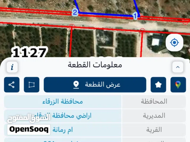 Farm Land for Sale in Zarqa Um Rummanah