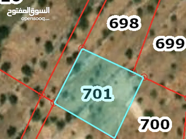 دنم ارض في السلط شفا العامرية / الميسه حوض 56 جبيهة على شارع 12 متر قابل للتفاوض
