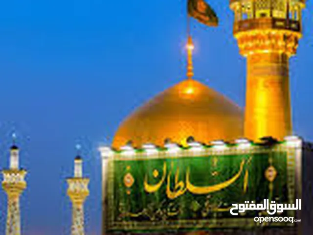 مترجم ایرانی و سائق خصوصی ساکن طهران